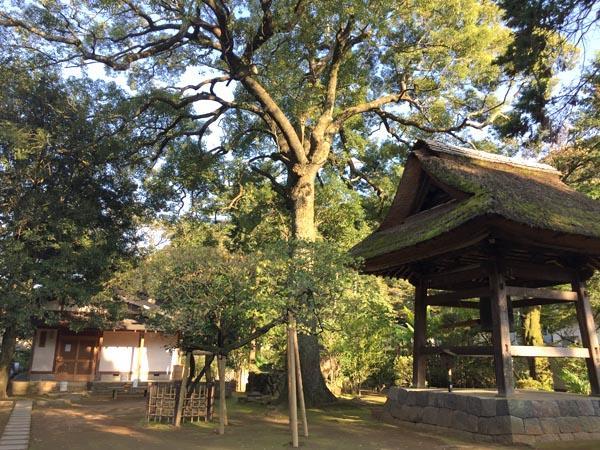Masutomi Ryokan Hakone Exterior foto